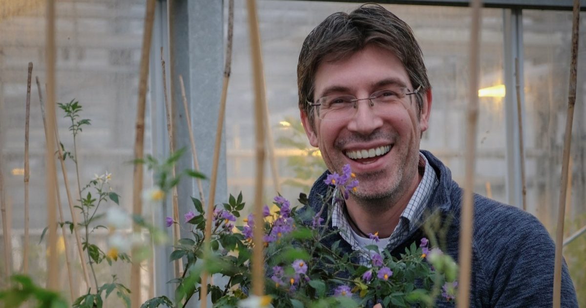 OpenGraph Image for Professor Ingo Hein announced as Deputy Director of the National Potato Innovation Centre