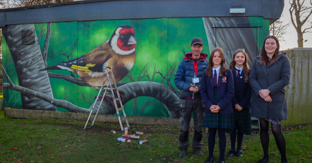 OpenGraph Image for New artwork brings goldfinch charm to Lathallan School