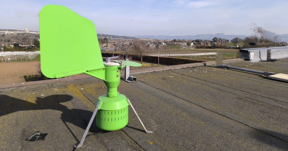 OpenGraph Image for The annual pollen count begins at The James Hutton Institute