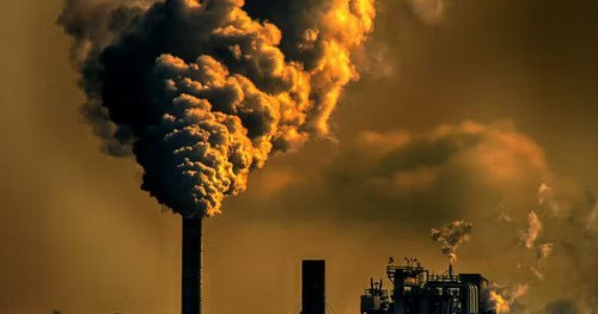 OpenGraph Image for Everything needs to be thrown at the climate emergency, says Storegga CEO