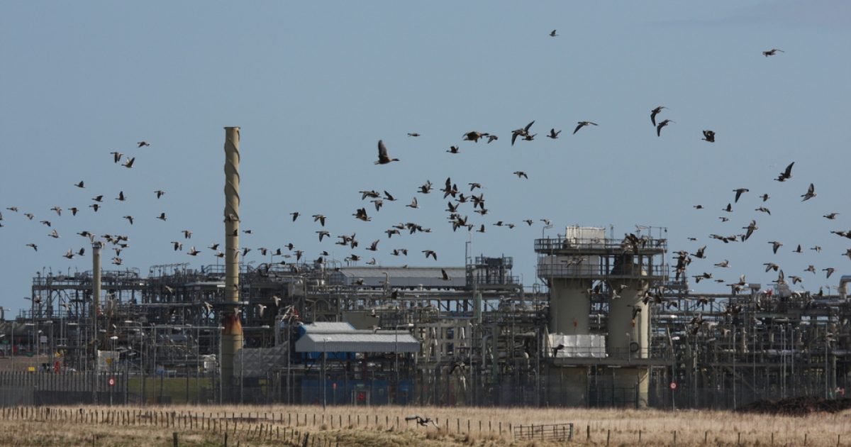 OpenGraph Image for Chancellor expected to announce Acorn Project funding