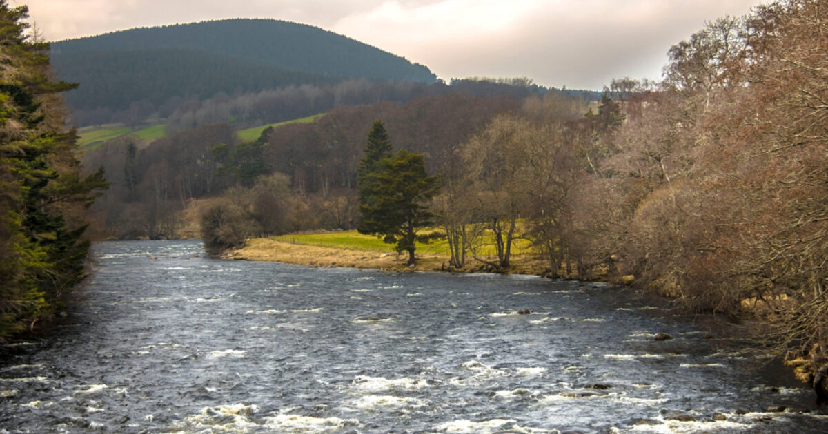 OpenGraph Image for Monday 11th December, 2023: Today's business headlines