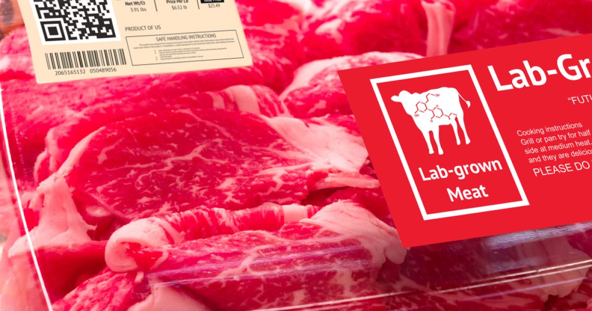 OpenGraph Image for Lab-grown food 'could be sold in UK within two years'