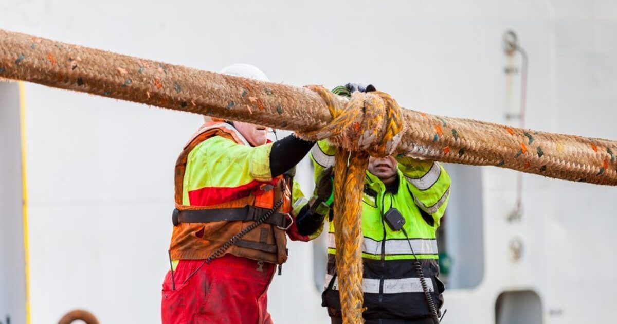 OpenGraph Image for Major report warns the clock is ticking for energy jobs