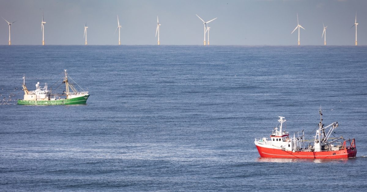 OpenGraph Image for Fishing leaders demand halt to offshore wind consents