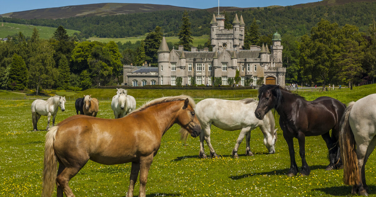 OpenGraph Image for Balmoral jobs lost as Charles reduces cattle and ponies