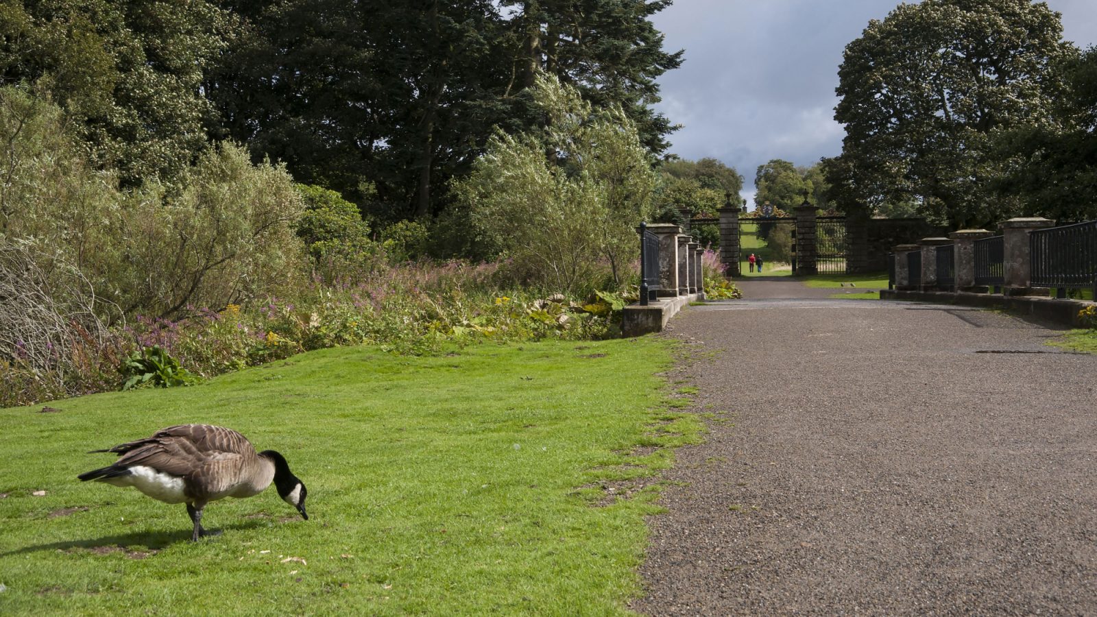 Haddo Country Park.
