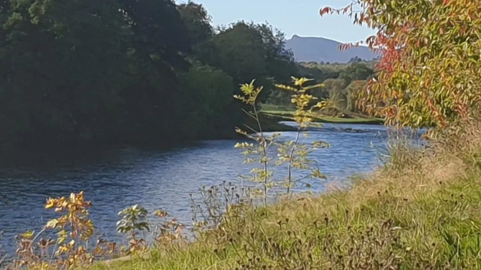 River Dee at Banchory