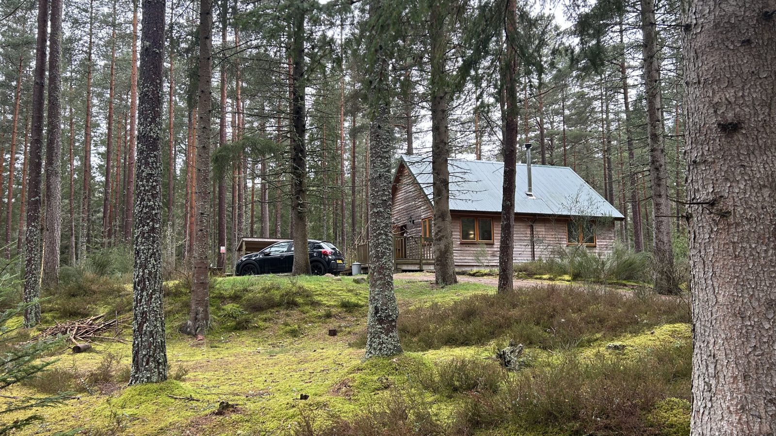 Red Squirrel Lodge