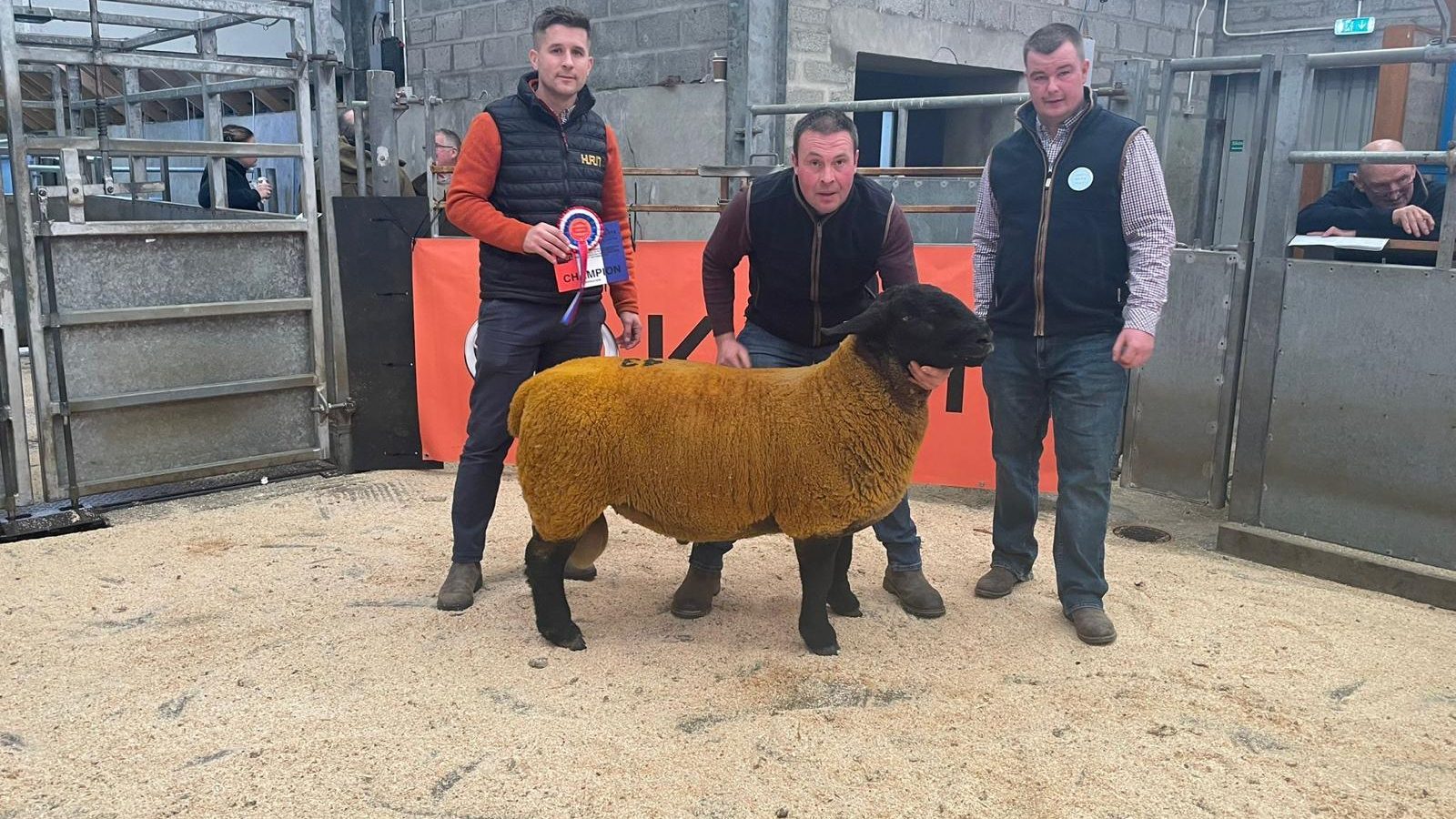 Suffolk Champion L R Magnus Barclay HRN Scott Morrison Judge James Barnetson