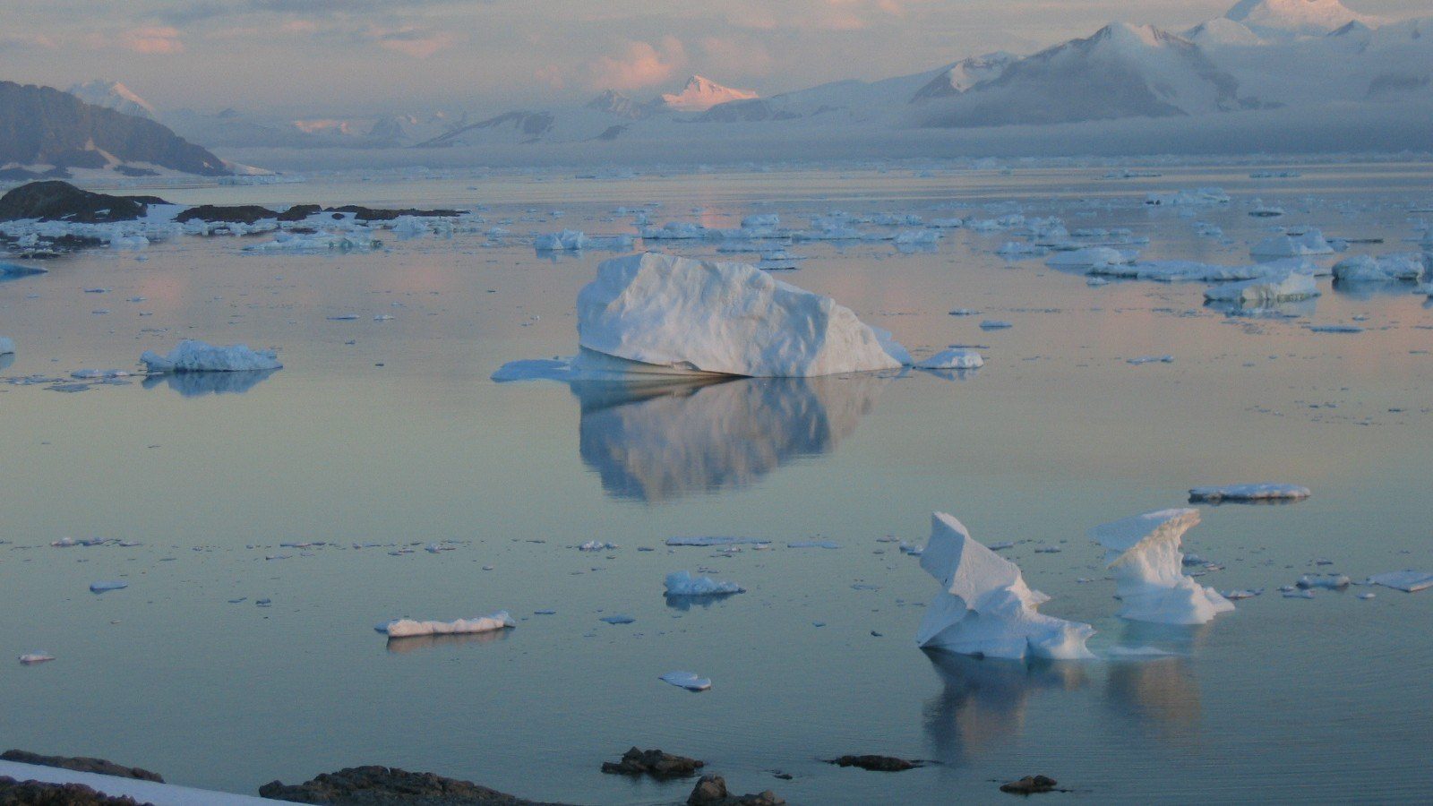 View from Rothera Research Station, Antarctica where the animals were collected. Photo credit Melody Clark