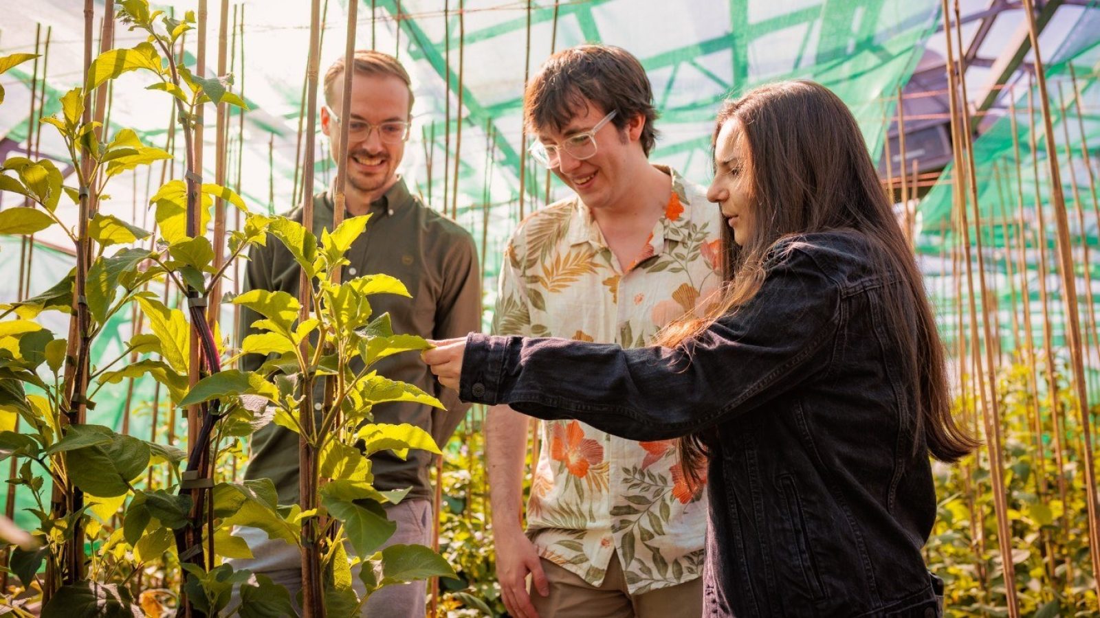 Dr Andrew Reid, Alfie Vaughan and Vera Silva visiting the Commonwealth Potato Collection