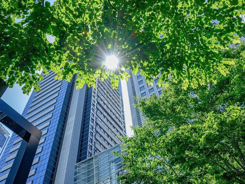 Navigating ESG in Commercial Property