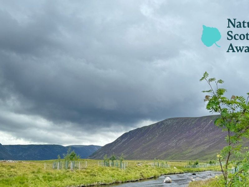 River dee trust blog