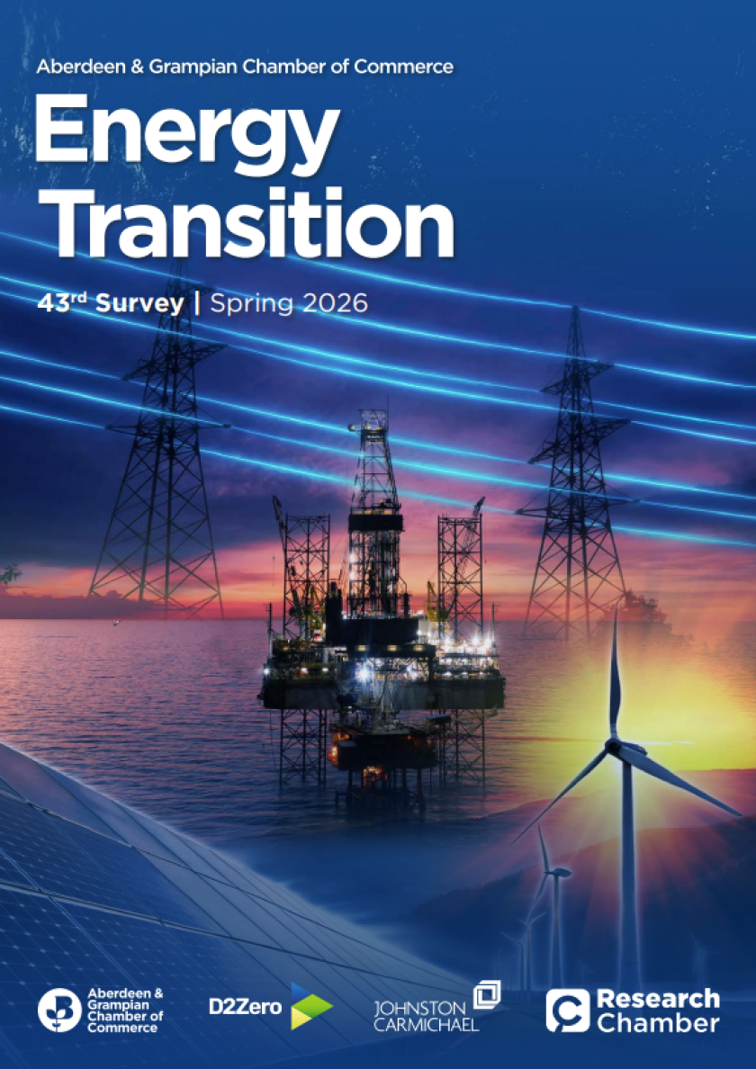 Energy Transition Survey 43