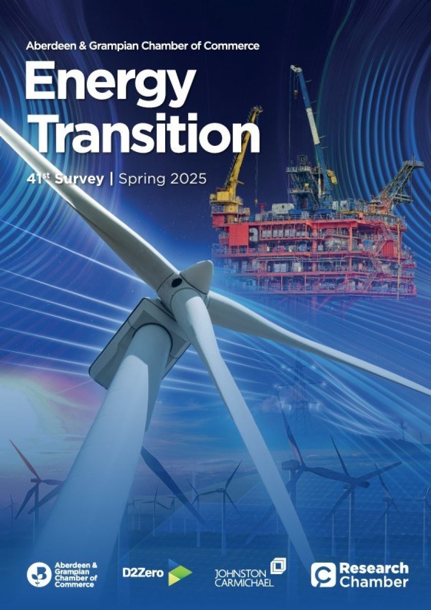 Energy Transition Survey 41
