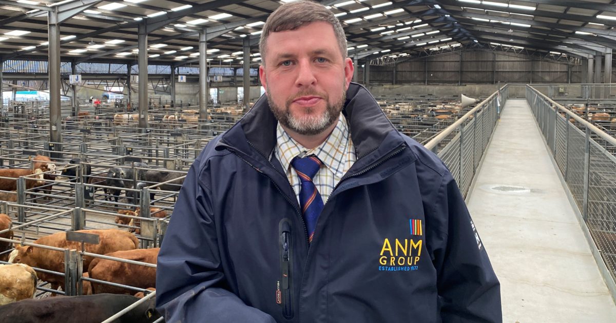 OpenGraph Image for ANM Group strengthen Caithness team
