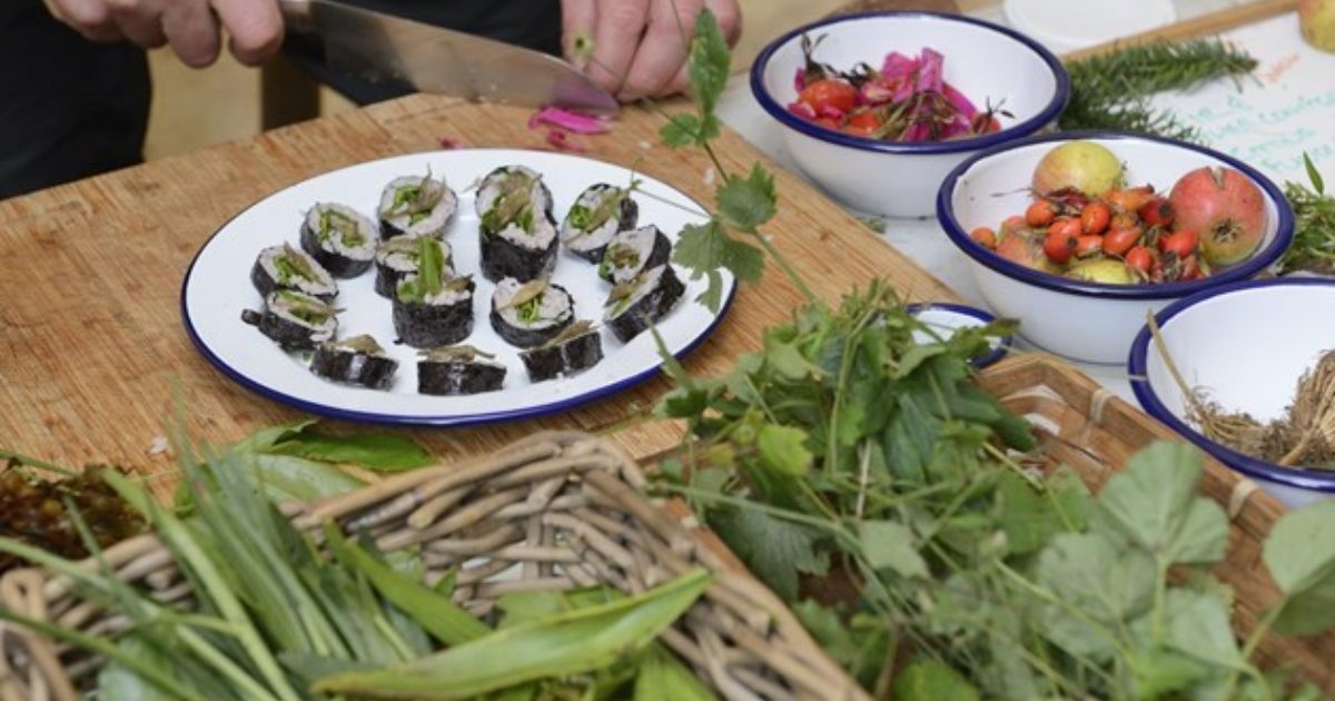 OpenGraph Image for Foraging festival encourages people to explore wild food