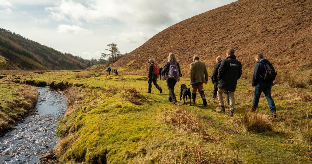 OpenGraph Image for Research farm opens its gates for Climate Week