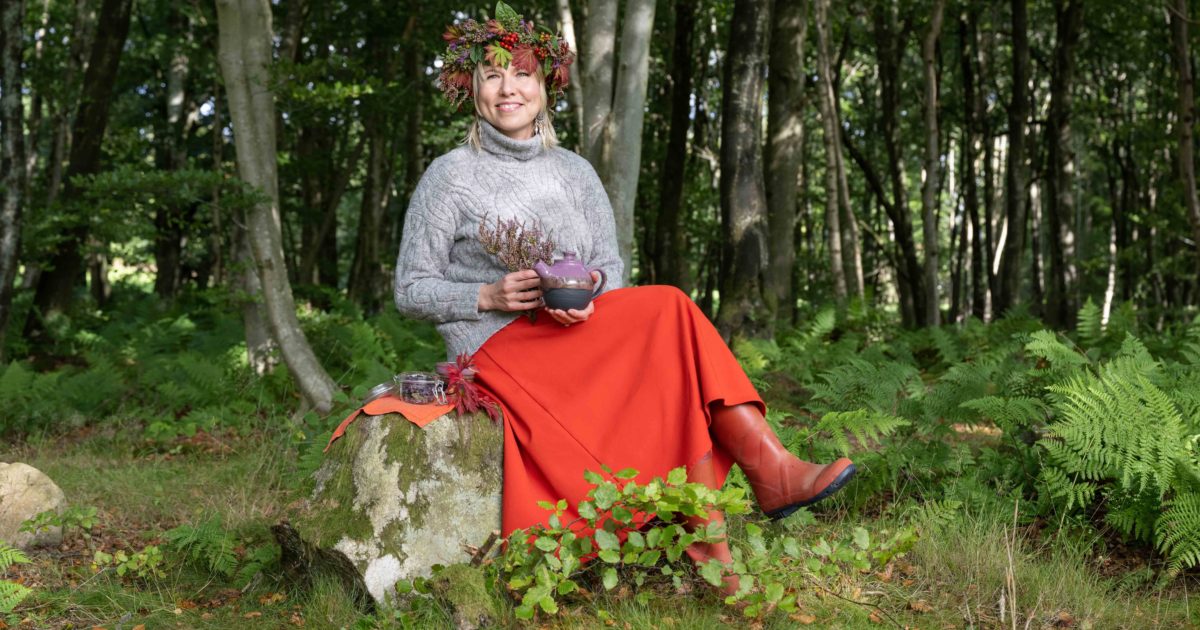 OpenGraph Image for Countdown begins to North-east food and drink festival