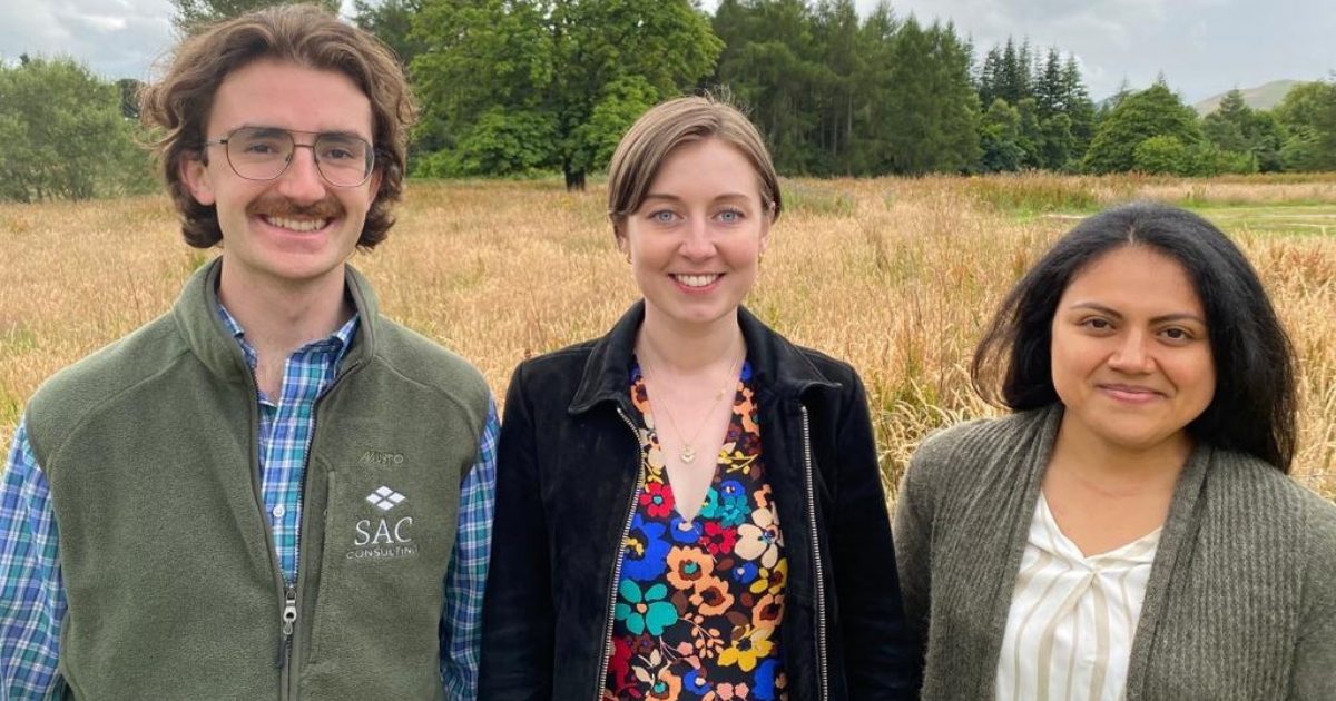 OpenGraph Image for SAC Consulting appoint three new employees