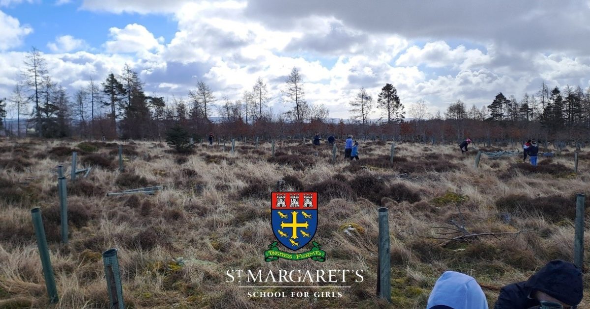 OpenGraph Image for Aberdeen school pupils help to repair Storm Arwen damage