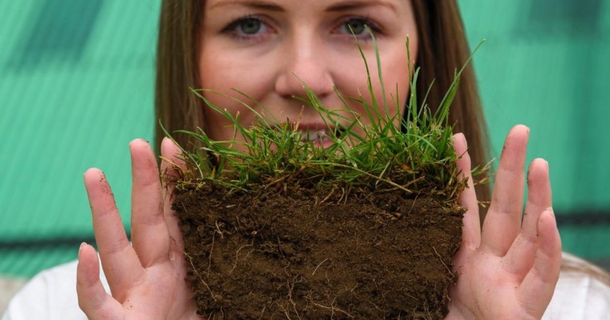 OpenGraph Image for Last chance to enter Scotland’s Best Soil in Show competition