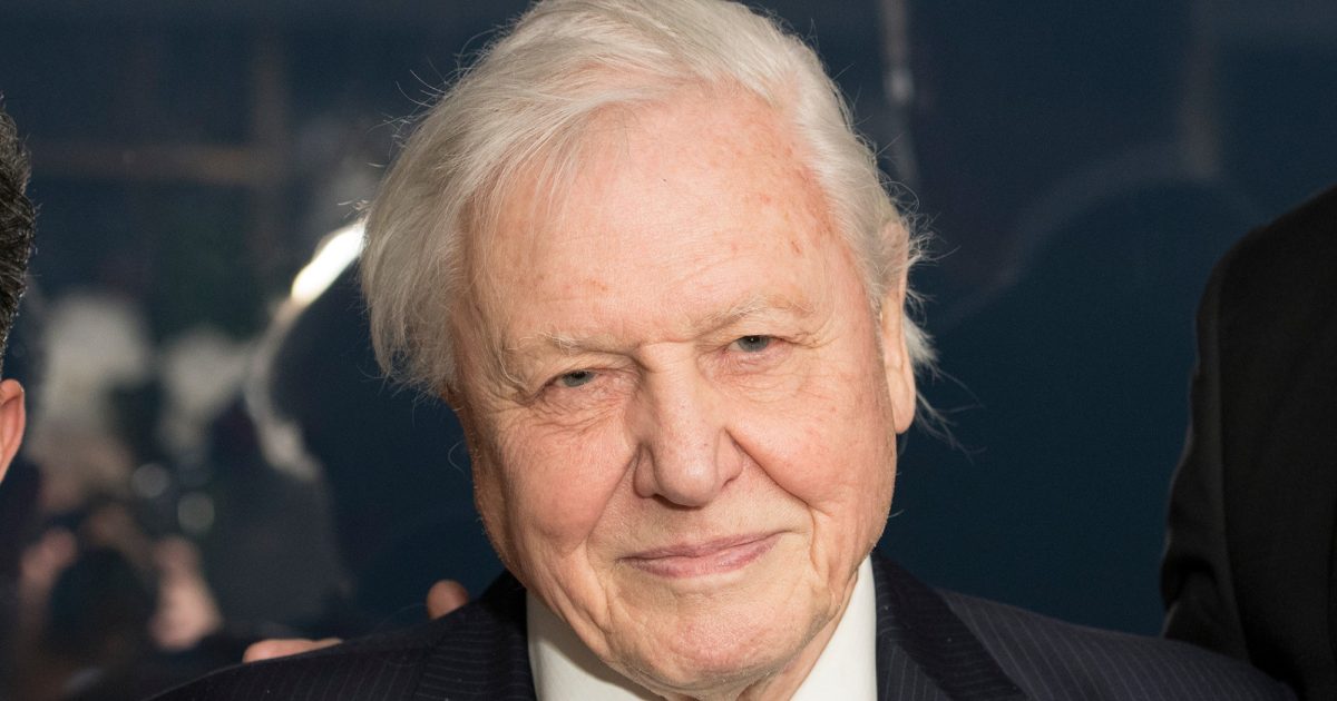 OpenGraph Image for Scottish Fishermen's Federation bite at Sir David Attenborough 'anti-fishing propaganda' film