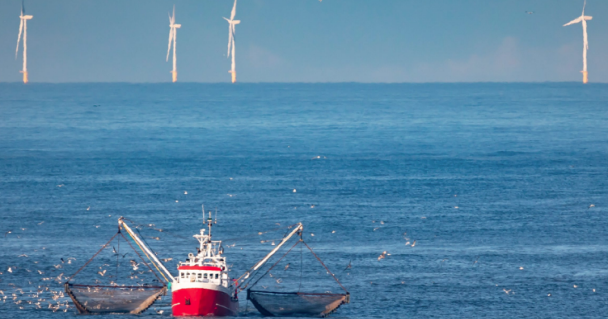 OpenGraph Image for DNV report backs up Transition Taskforce findings and calls for cross-border North Sea collaboration