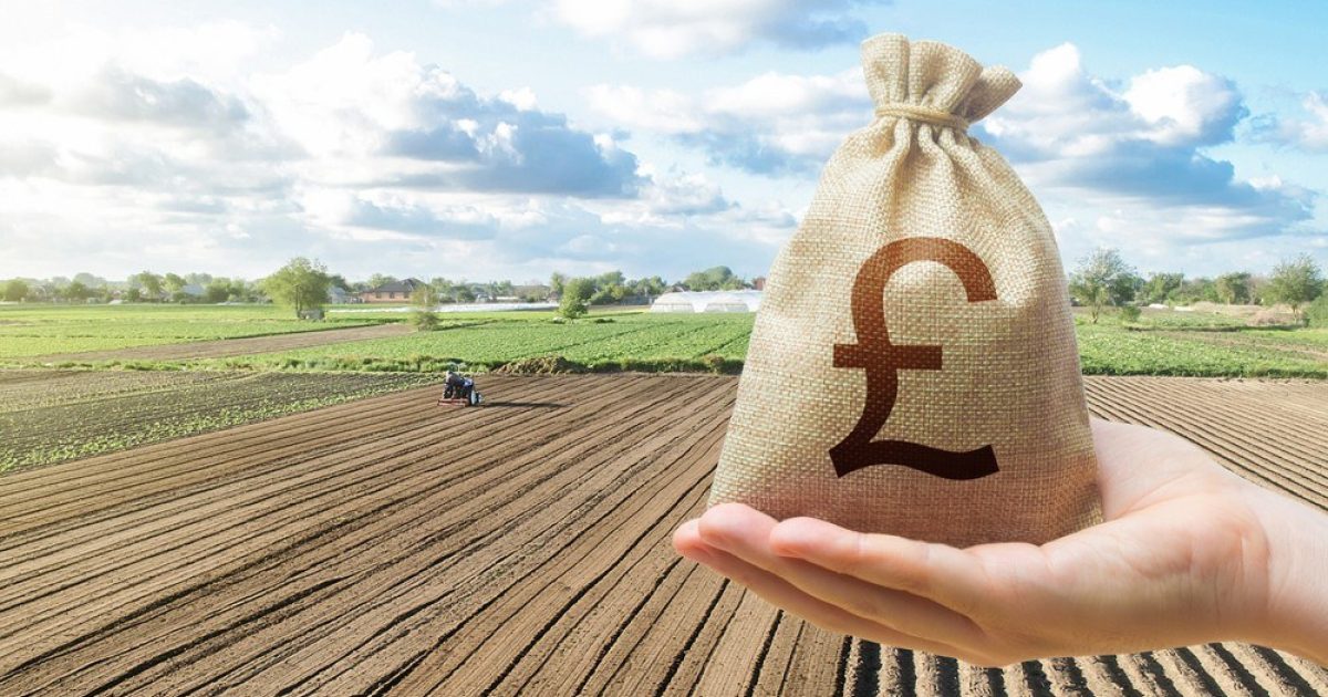 OpenGraph Image for Scottish government reportedly spends £200m on consultants to help administer farm subsidies