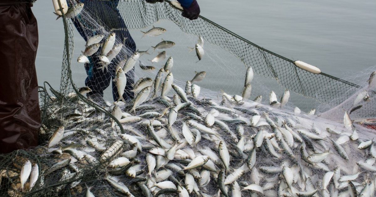 OpenGraph Image for New UK-EU deal labelled 'horror show' by Scottish fishermen