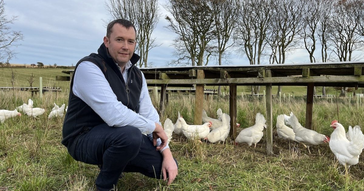 OpenGraph Image for Farmlay makes £2m investment in AI technology to boost productivity