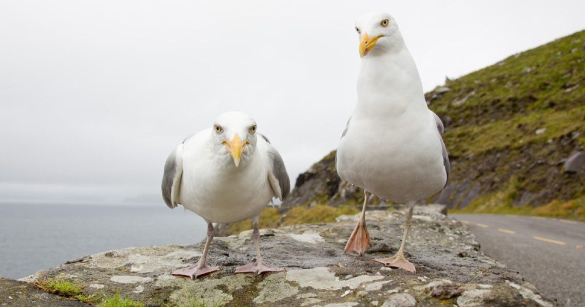 OpenGraph Image for Friday, June 27, 2025: Today's business headlines