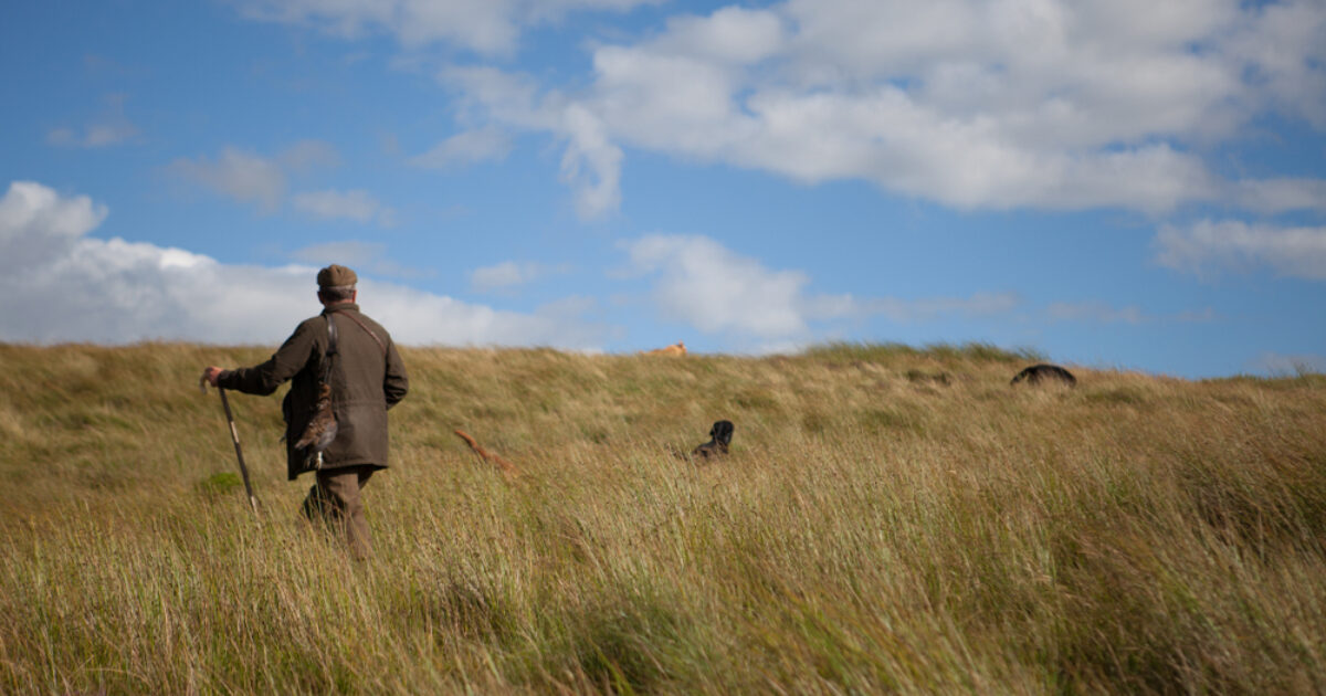 OpenGraph Image for Grouse shooting now in the Scottish Government's sights