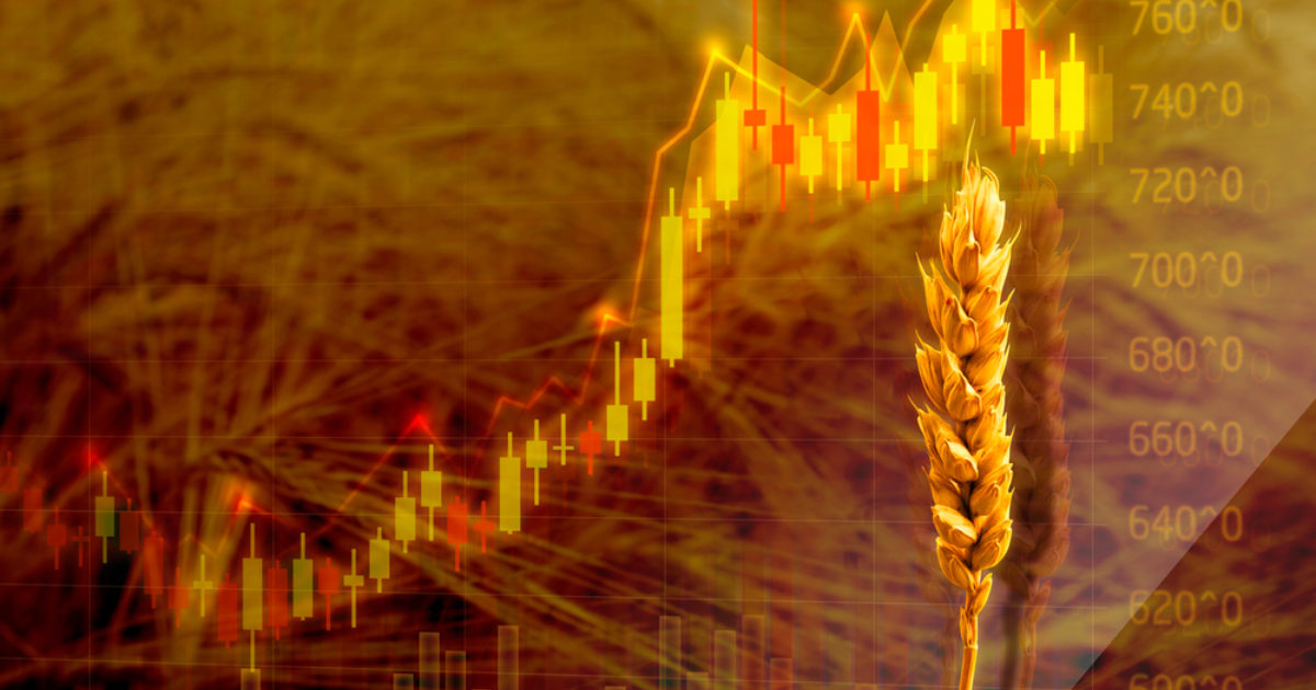 OpenGraph Image for Food prices push inflation back to 40-year high
