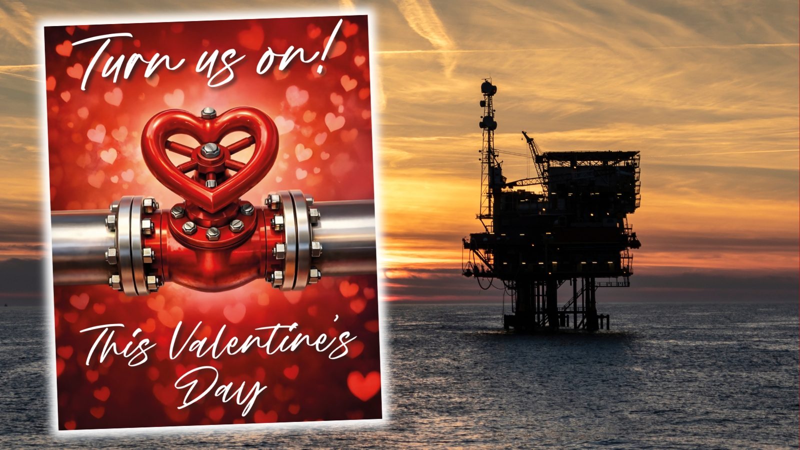 ‘Turn us on’: Chamber sends cheeky Valentine’s card to MPs urging politicians to back the North Sea