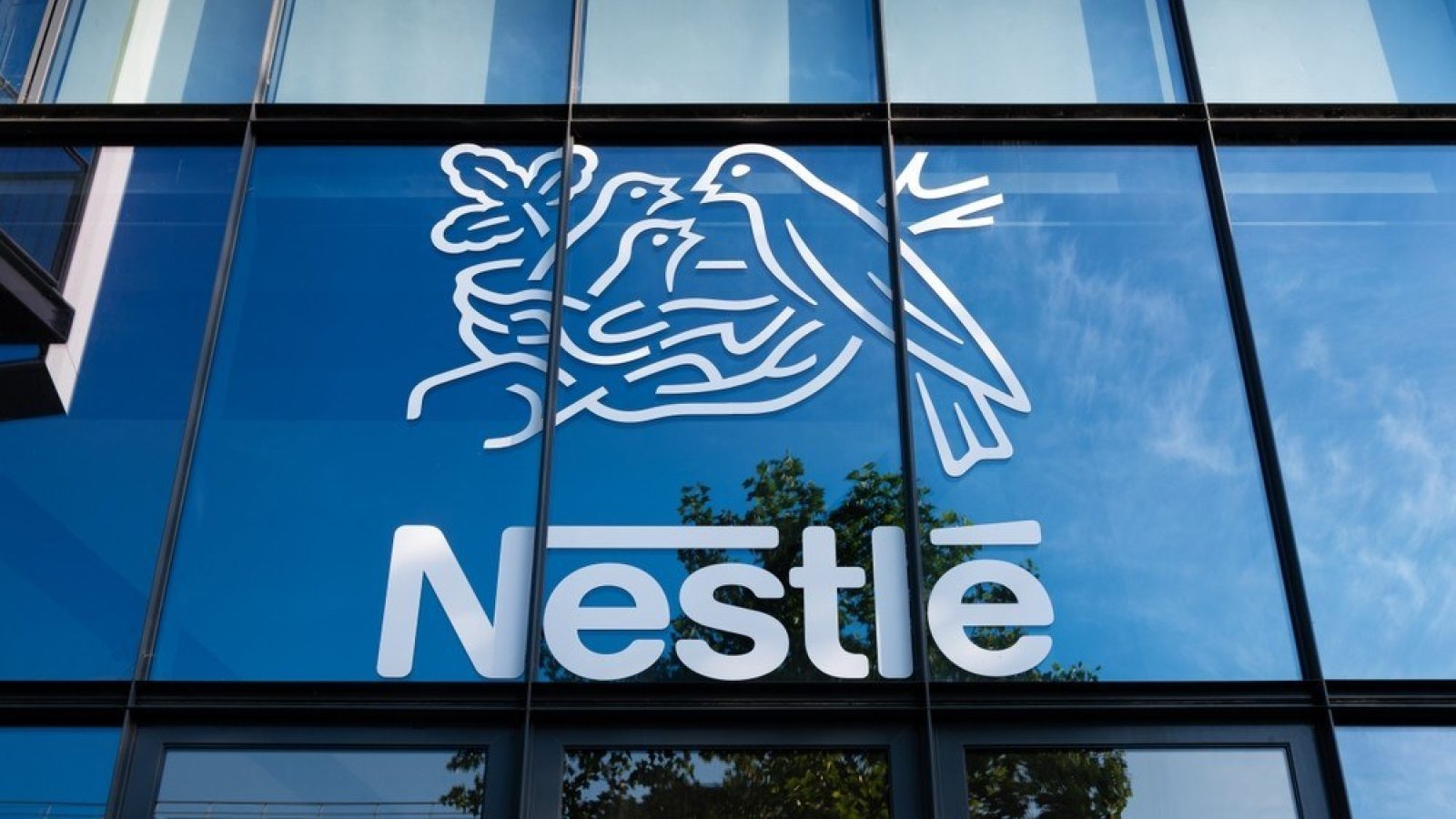 Market Watch: New Nestle boss announces 16,000 job cuts