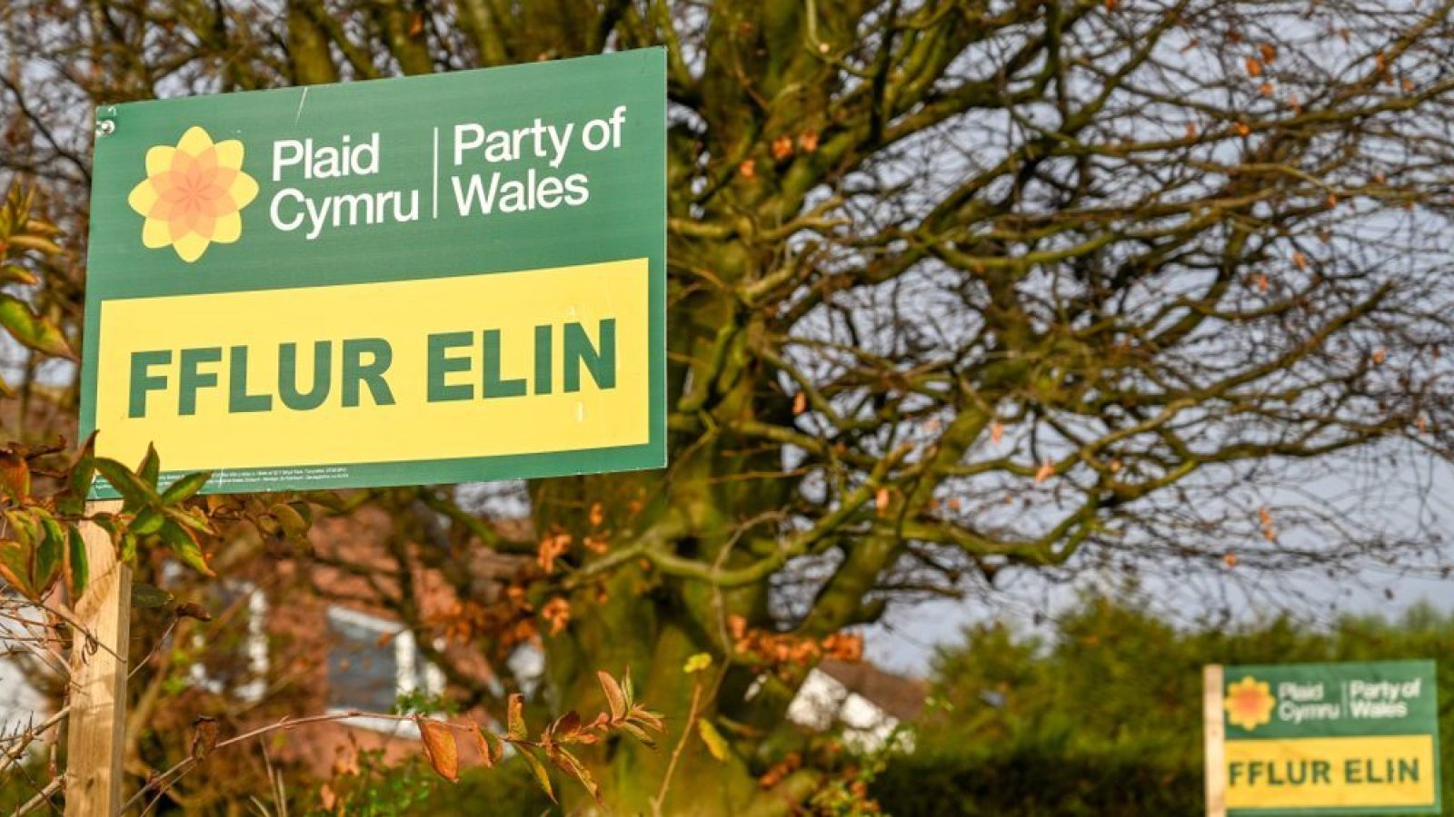 Plaid Cymru wins Caerphilly by-election as Labour loses seat for first time