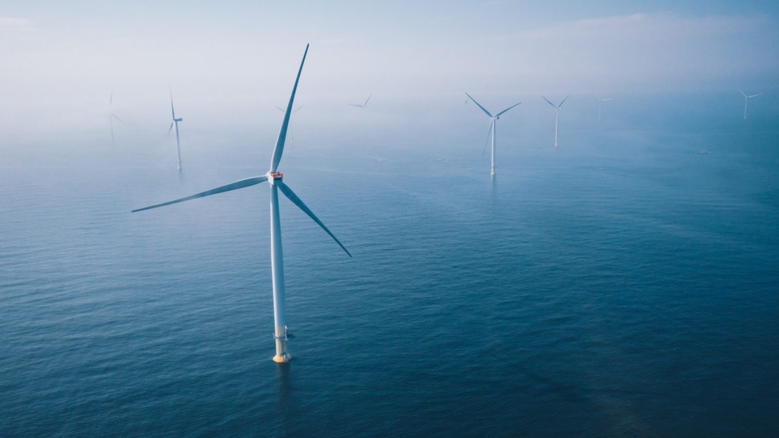 Scottish wind farms paid to switch off for more than a third of output