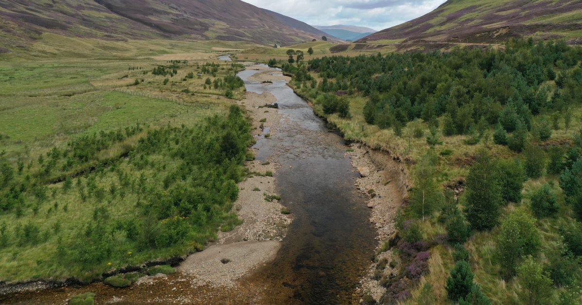 OpenGraph Image for River Dee Trust seeks Trustee