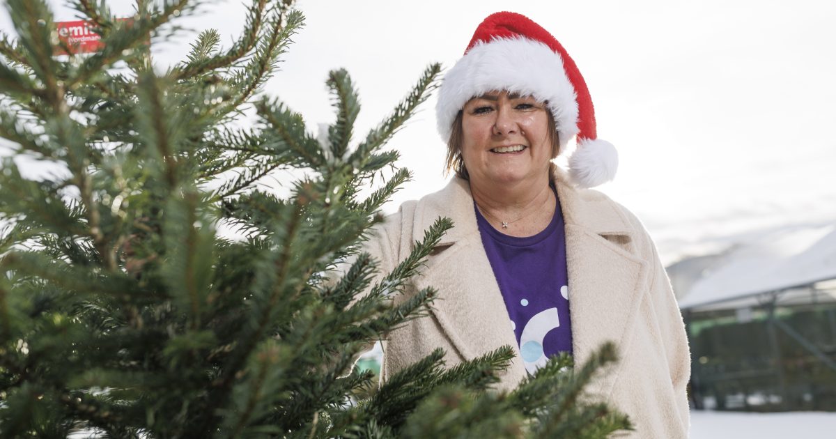 OpenGraph Image for Clan grows Christmas tree collection service across city and shire