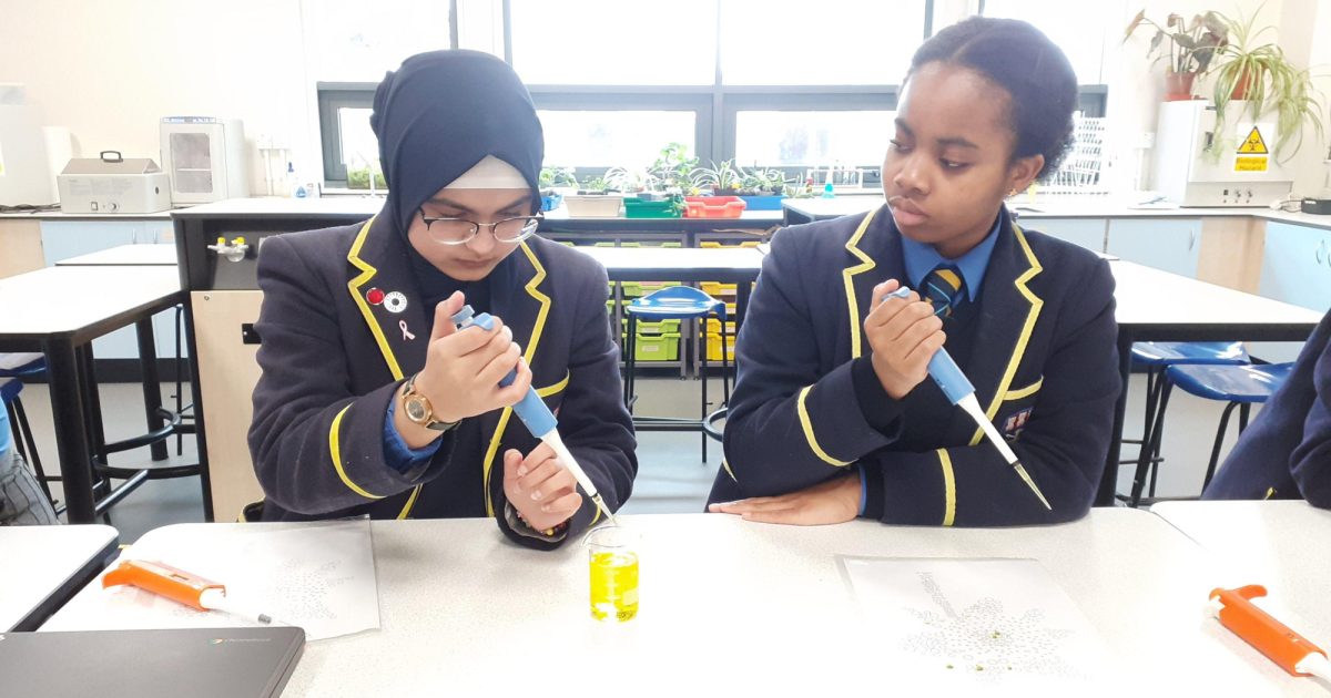 OpenGraph Image for Blooming Brilliant: Aberdeen pupils spring into action with Daffodil Project update