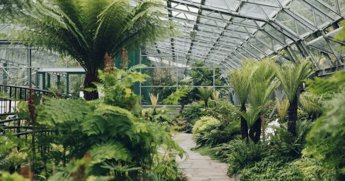 OpenGraph Image for Winter Gardens no longer has booking requirement