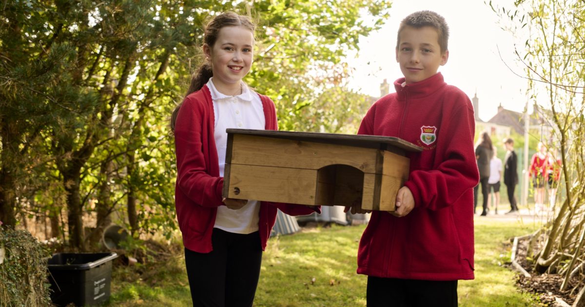 OpenGraph Image for Dandara builds on community spirit with hedgehog homes for local school