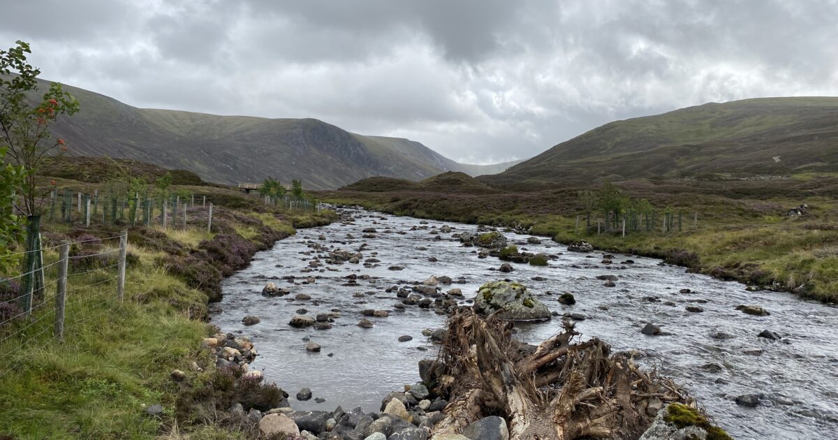 OpenGraph Image for Landscape-scale river restoration by Braemar completes