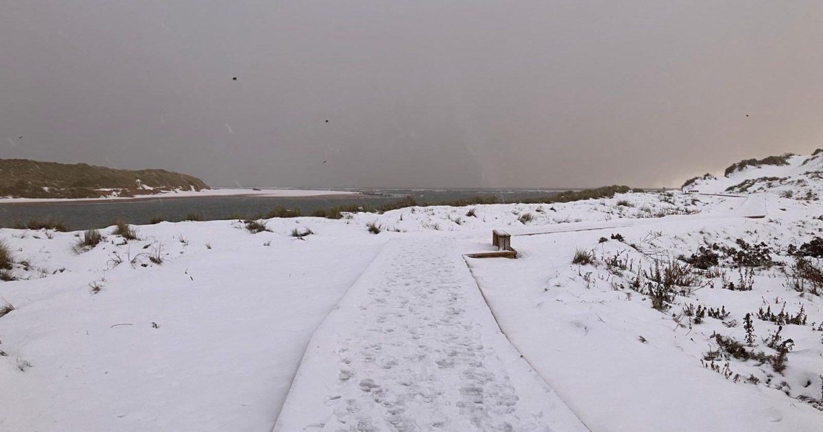 OpenGraph Image for Quensh takes part in step challenge for charity