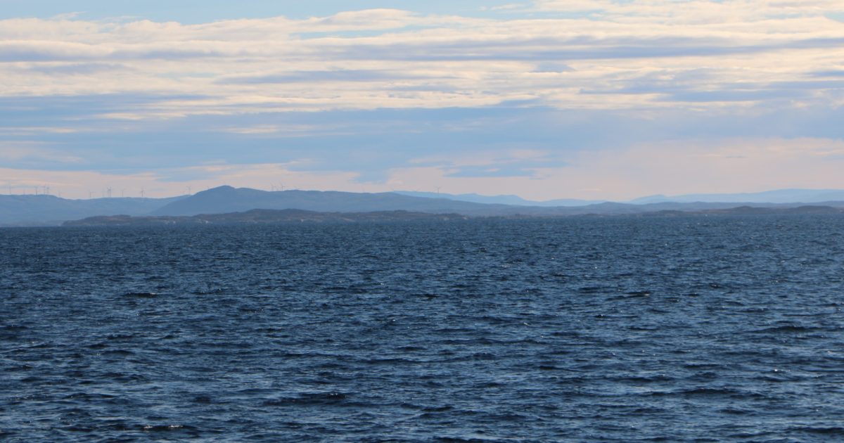 OpenGraph Image for Fugro trials first automated eDNA sampler to transform biodiversity studies