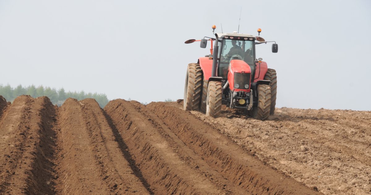 OpenGraph Image for New British Ecological Society regenerative agriculture report finds strong evidence for the benefits of minimising bare soil