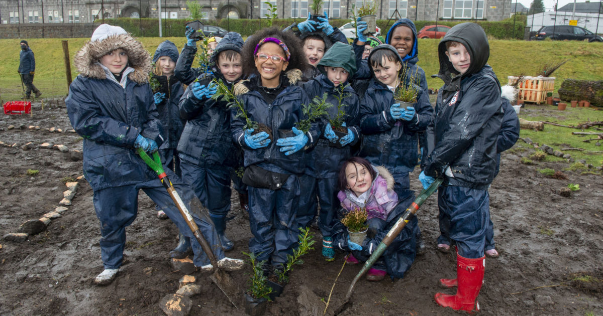 OpenGraph Image for First Wee Forest planted for Aberdeen