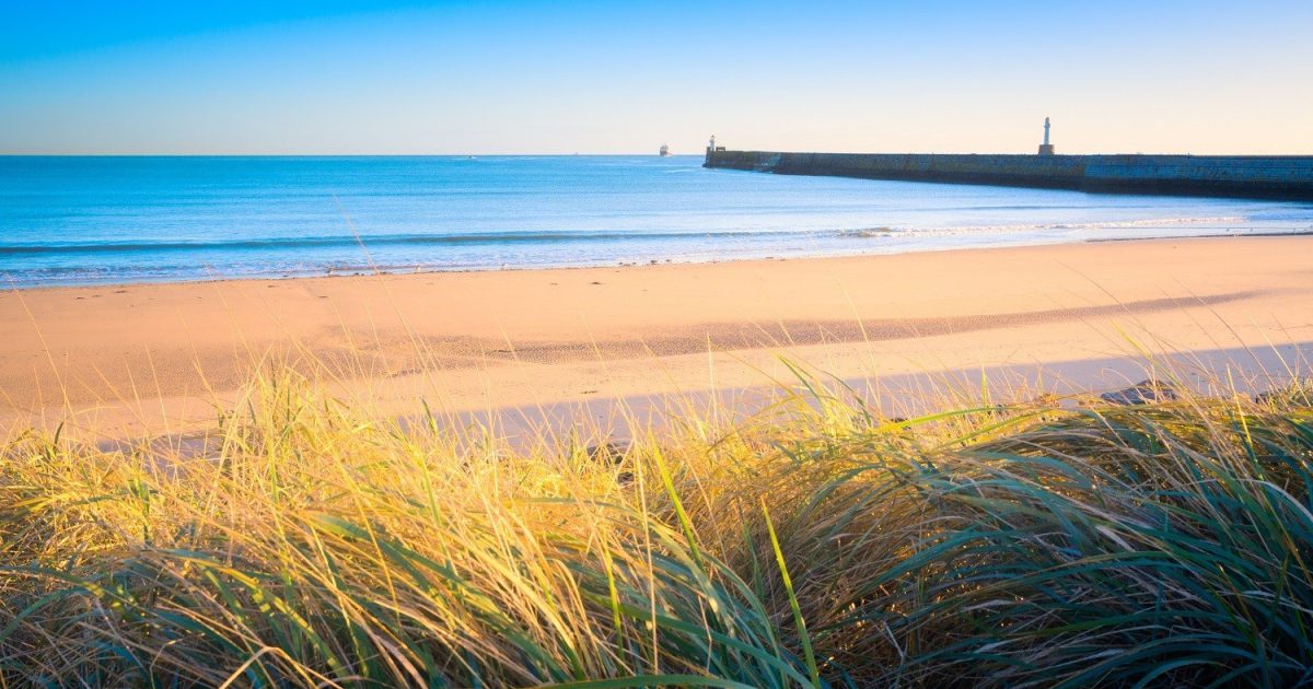 OpenGraph Image for VisitAberdeenshire launches responsible tourism toolkit for businesses